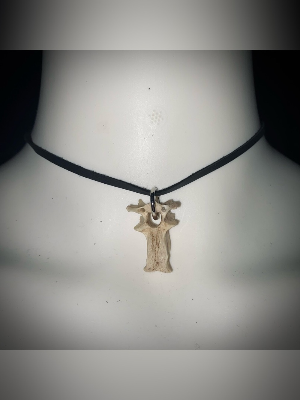 Possum vertebrae bone choker